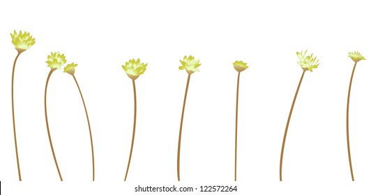 Flowers. Vector illustration.