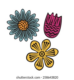 Flowers vector illustration