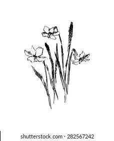 Flowers, vector illustration