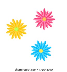 Flowers. Vector illustration