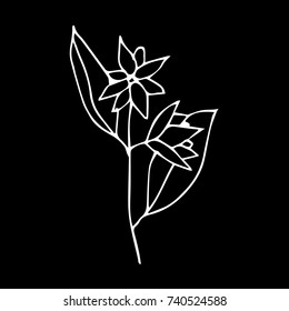 Flowers vector illustration. Birthday card. Doodle style. Design, print, logo, decor, textile, paper.