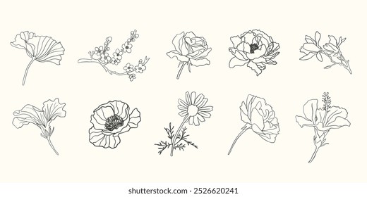 Coleção de Ilustrações Vetoriais Flores. Botany Logo Floral Art Set. Loja de flores, Florista, Elemento de design de casamento. Rosas, Hibiscus Cherry Blossom, Estilo Vintage