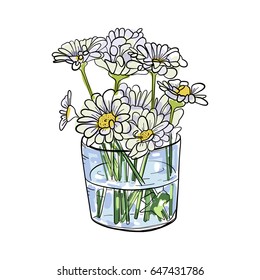 Flowers, vector illustration, daisies 
