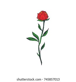 Flowers vector illustration. Doodle style. Design, print, logo, decor, textile, paper.