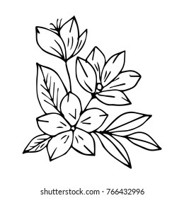 Flowers vector illustration. Doodle style. Design, print, decor, textile, paper