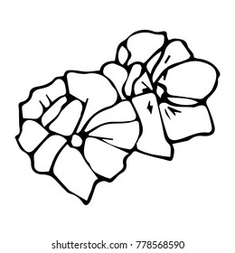 Flowers vector illustration. Doodle style. Design, print, decor, textile, paper