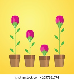 Flowers, vector illustration. Flower logo icons and symbols. Pink floral elements.