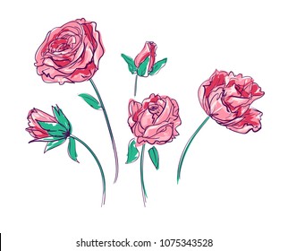 Beautiful Red Rose Vector Illustration Stock Vector (Royalty Free ...