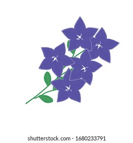 Ilustración vectorial de flores aislada en fondo blanco