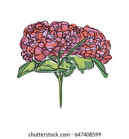 Flowers, vector illustration, Lilac 
