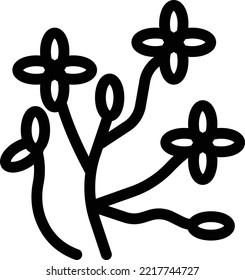 flores Ilustración vectorial en un fondo transparente. Símbolos de calidad superior. Iconos vectoriales de línea delgada para el diseño de conceptos y gráficos. 
