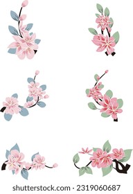 flowers vector illustration plant pattern Cherry blossoms

