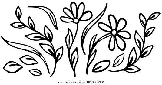 Flowers Vector isolate element. Black and white line art. Freehand sketching illustration. Vector flowers and leaves, black and white graphics