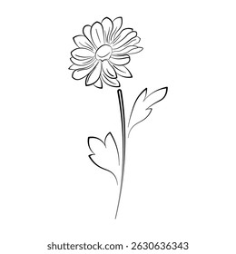 Elemento isolado do Flowers Vetor. Arte de linhas em preto e branco. Flores e folhas vetoriais, gráficos em preto e branco