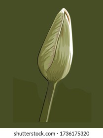 flowers . Vector isolated Dark green Background