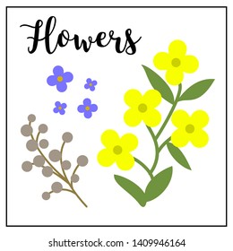 Flowers. Vector Isolated Graphic Design Illustration Set. Floral, natural, organic, beautiful, plant, blossom, leaves, pentals. Decorative, romantic, gentle. Flat, simple, cartoon, clear style.