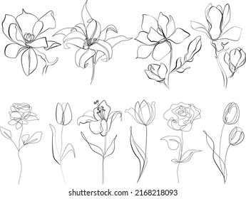 Flowers vector line art illustration. Abstract floral in continuous hand drawing outline. Minimalistic modern one line art black and white. Lily, rose, tulip graphic sketch illustration icon 