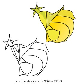 Blumen, Vektorgrafik und Linienkunst. Blumenfarbseite. schwarz-weiß.
Einzeln auf weißem Hintergrund. Vektorgrafik.