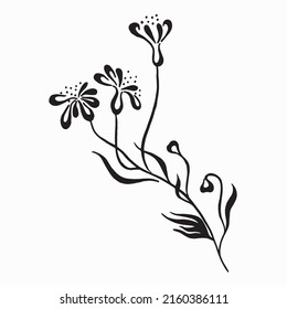 Flowers vector line drawing.  Botanical sketches.Vector illustration. Wildflowers linear drawing. Spring summer black and white flowers.