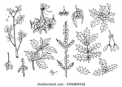 Flowers vector line drawing. Christmas decor drawn by a black line on a white background. Winter berries, mistletoe, holly