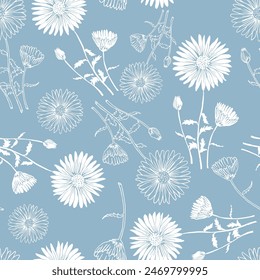 Flowers vector line drawing. Chrysanthemums drawn by a white line on a blue background.