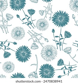 Flowers vector line drawing. Chrysanthemums drawn by a turquoise green line on a white background.