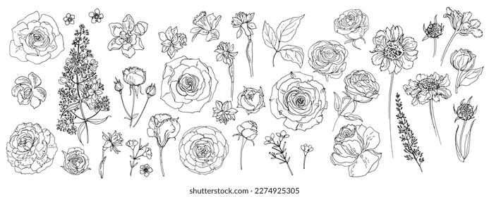 Flowers vector line drawing. Flower drawn by a black line on a white background. Roses, eucalyptus, wild rose, twigs and leaves