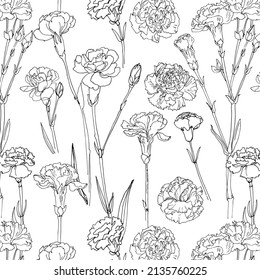 Flowers vector line pattern Carnation drawn by a color 