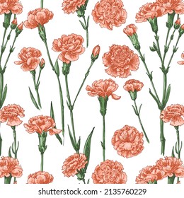 Flowers vector line pattern Carnation drawn by a color 