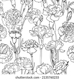 Flowers vector line pattern Carnation drawn by a color 