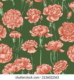 Flowers vector line pattern Carnation drawn by a color 