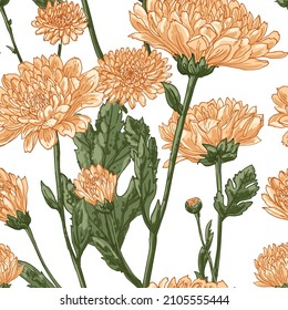 Flowers vector line pattern Chrysanthemums drawn by a color 