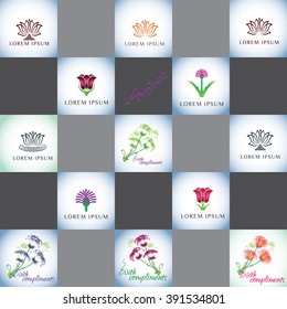 Flowers vector logo set. Vector branding for spa, boutique, beauty salon, cosmetician, shop, yoga class, hotel, wellness center. Lotus, tulip, thistle .