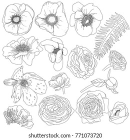 flowers vector objects