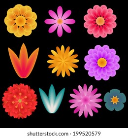 Flowers vector set different shapes