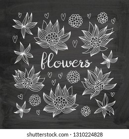 Flowers vector set, floral doodles collection on chalkboard background