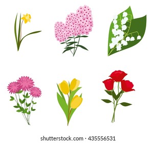 Flowers vector set of  flower Lily of the valley,flower rose, Aster flower,Phlox Flowers, yellow tulips flower,narcissus, vector illustration. Set of bouquet of flowers isolated on white background.