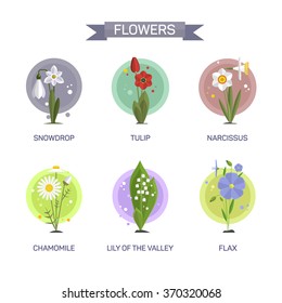 Flowers vector set isolated on white background. Illustration in flat style design. Icons and emblems. Tulip, camomile, snowdrop, lily, narcissus, flax.