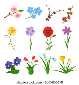 Flowers vector set on white background. Garden wild flower icons. Floral icons, summer spring flat. Rose, iris, tulip, poppy, pansy, crocus Vector illustration