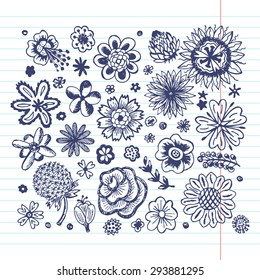 Flowers. Vector set of sketched flowers. Hand Drawn Doodles background