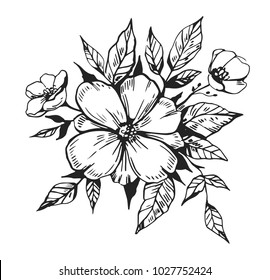 Flowers vector sketch. Hand drawn illustration converted to vector