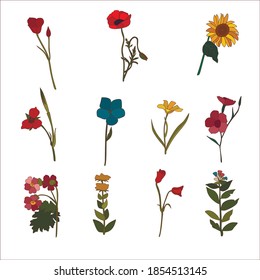 Blumen auf Vektorgrafik, Sonnenblumen, Pflaumen, Blumen einzeln