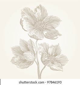 flowers, vintage engraved illustration