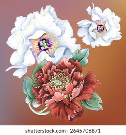 Flores ilustração em aquarela. Flor de peônia isolada sobre fundo branco. Composição manual. Design para têxteis, papéis de parede, Elemento para design, Cartão de saudação.