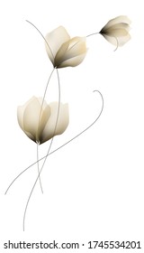 flowers watercolor illustration template set design print vector 