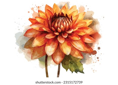 Flowers watercolor illustration, Vector flowers and leaves, with color splash and white background. 