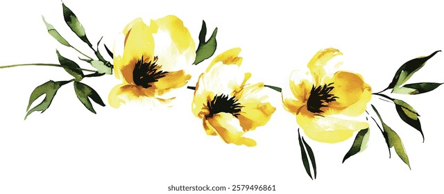 Flowers watercolor  illustration vector.Manual composition.Big Set watercolor elements.