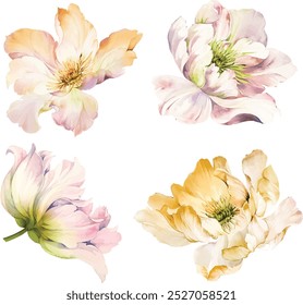 Flowers watercolor illustration.Manual composition.Big Set watercolor elements.