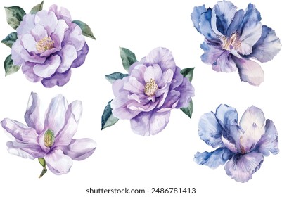 Flowers watercolor vector illustration.Manual composition