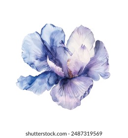 Flowers watercolor vector illustration.Manual composition